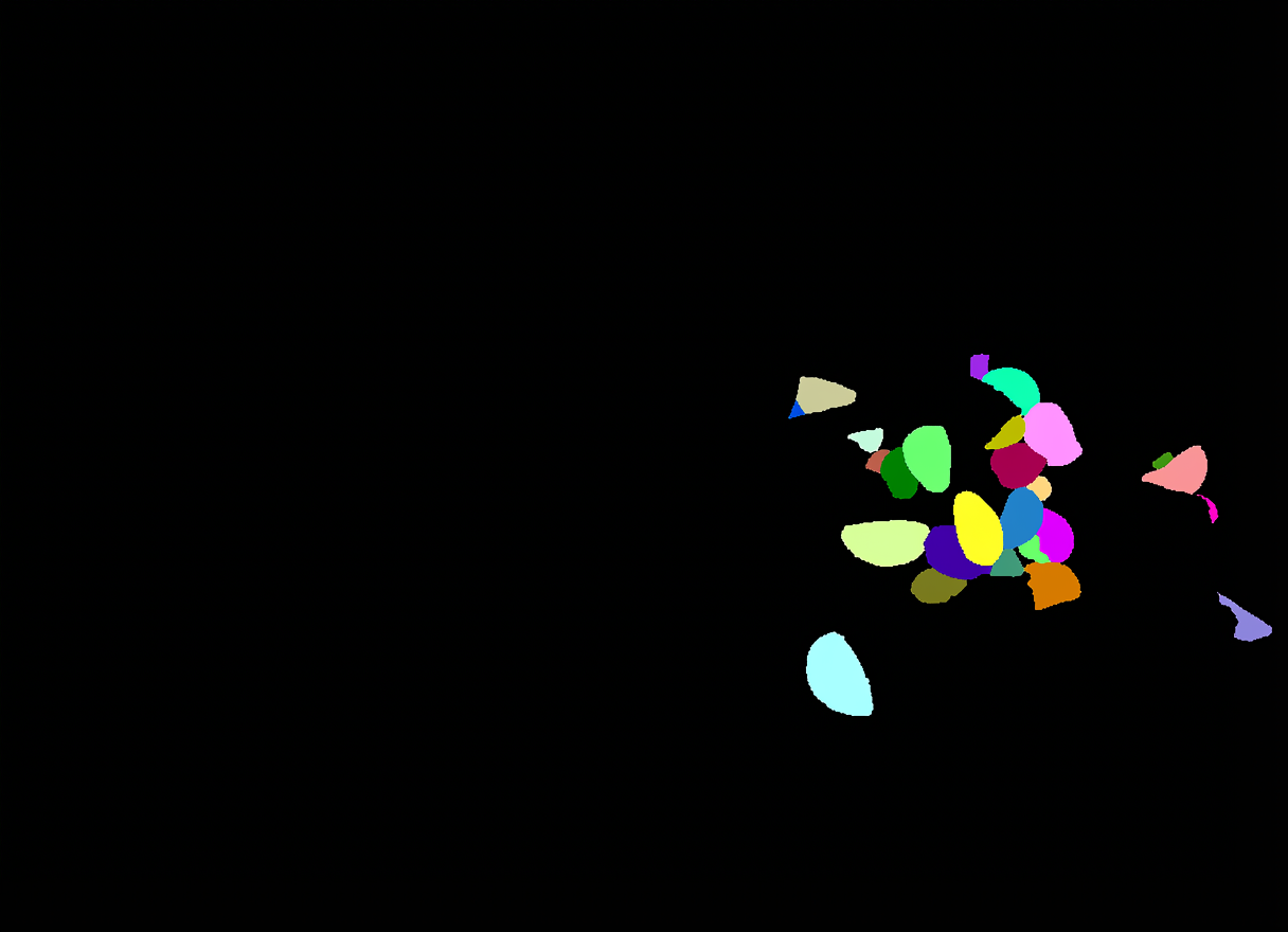 Instance segmentation prediction