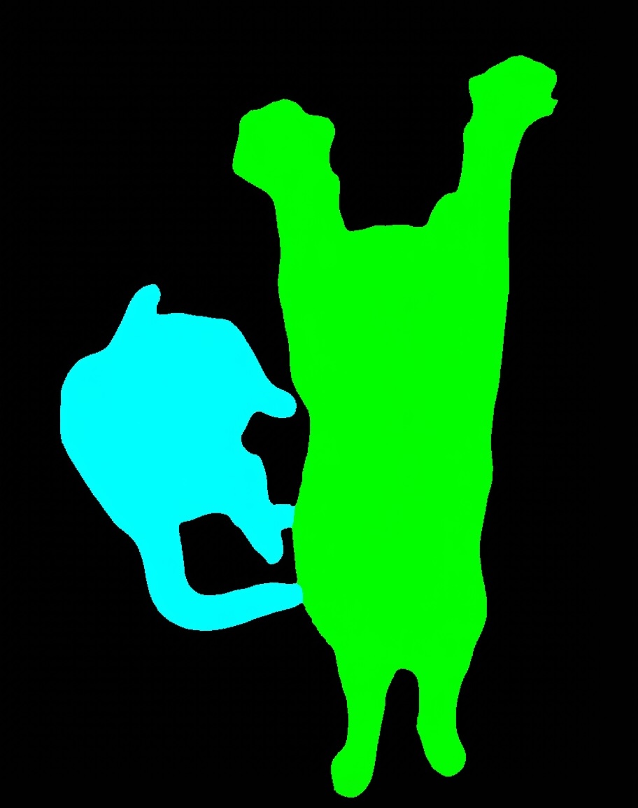 Referring segmentation prediction