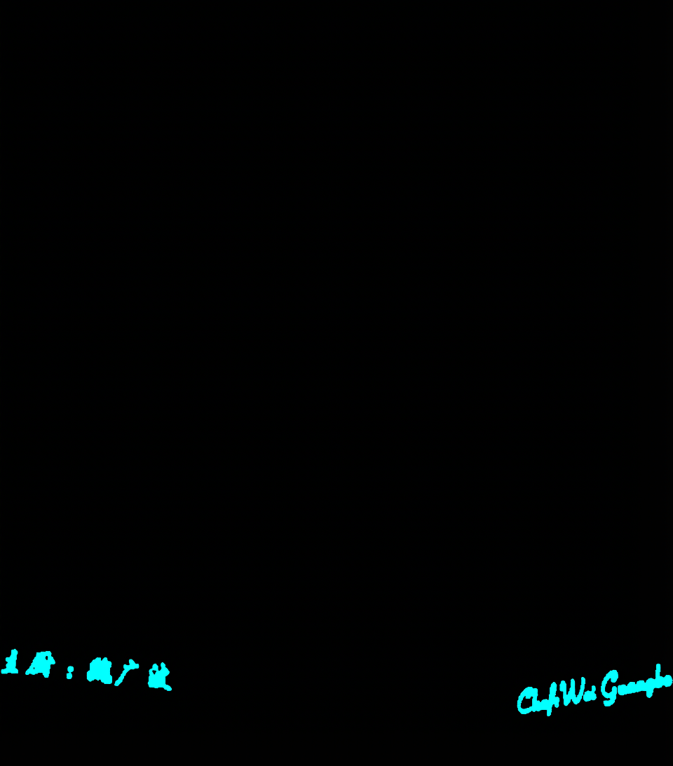 Referring segmentation prediction