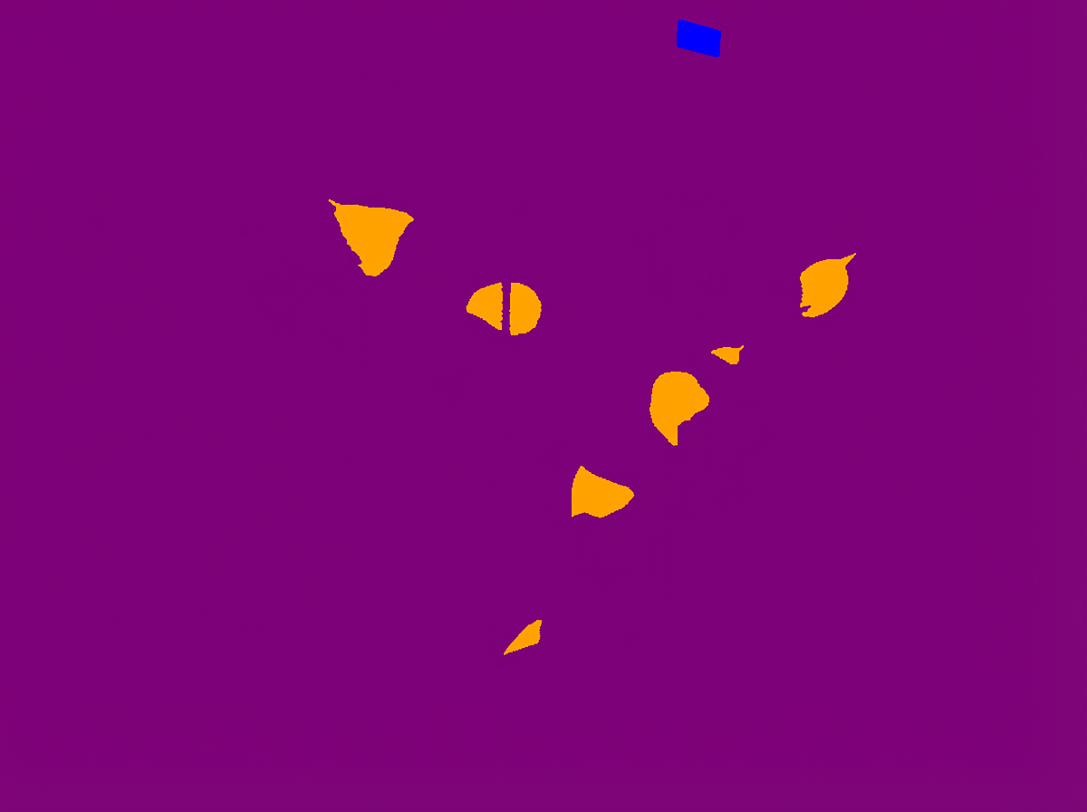 Semantic segmentation prediction